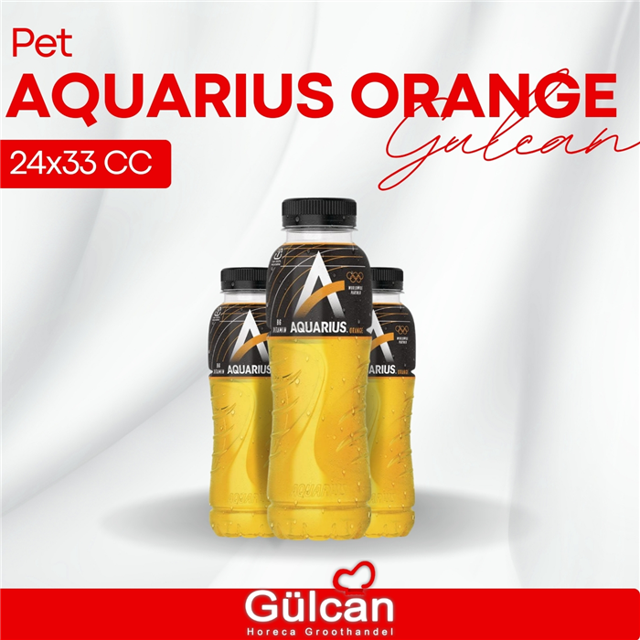 Aquarius ornge pet 24x33cl