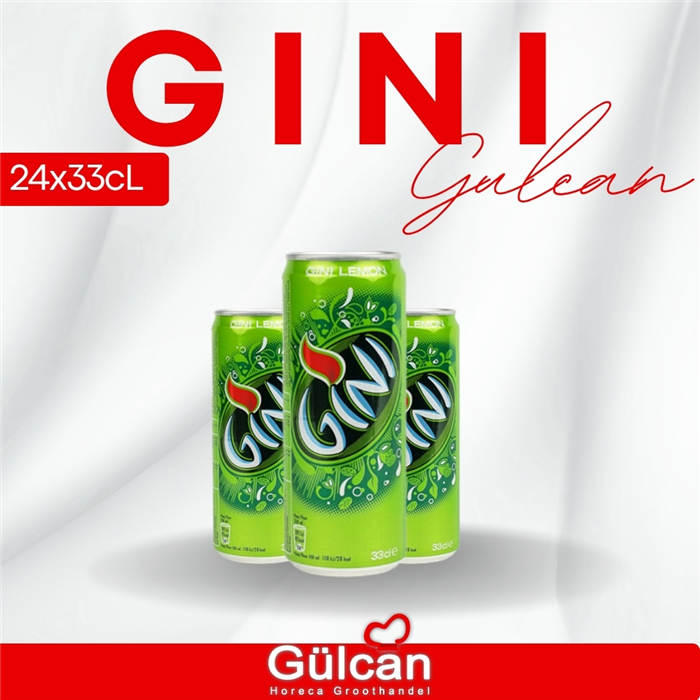 Gini 24x33cl