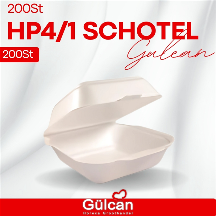 (hp4/1) Schotel 100 Stk