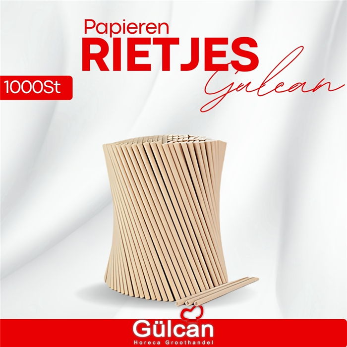 (papieren) Rietjes 100ST