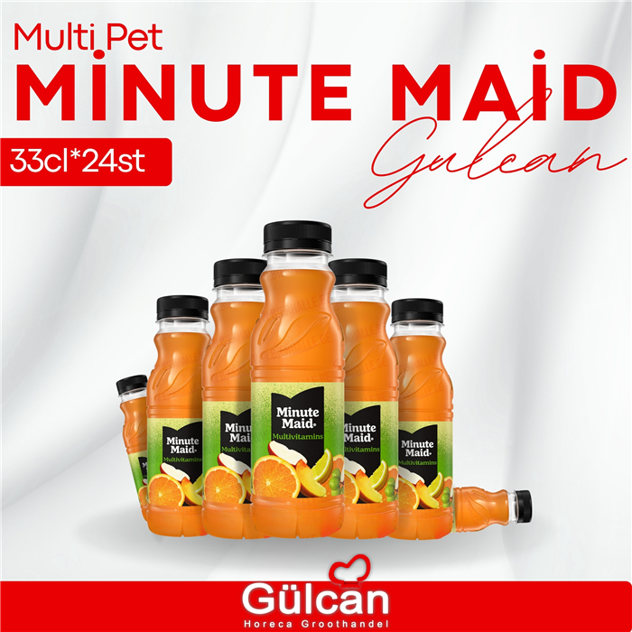 Pet Minute Maid Multi 24x33cl