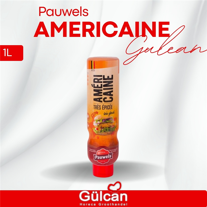 PAUWELS AMERICAIN 1LT 