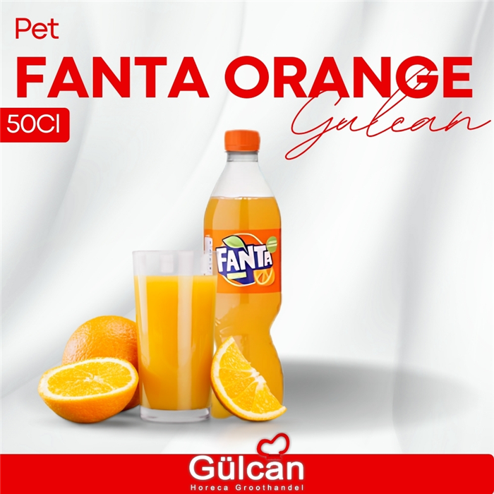 Pet Fanta Orange 24 X 50cl